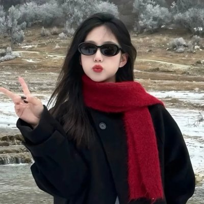 黛妃与女王 海报